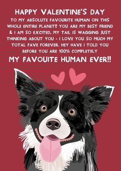 Cute Valentine's Day - From the Dog - Border Collie created by From The Dog
