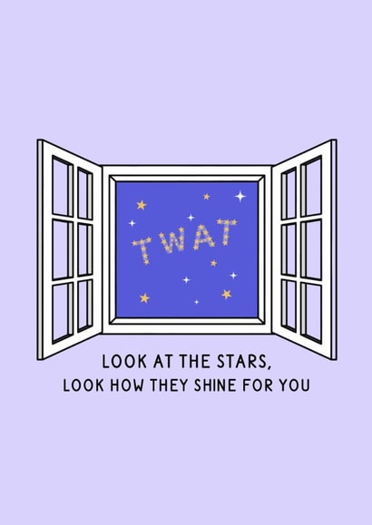 Funny Birthday Card - Stars Shine For You - Twat created by Studio GRL UK