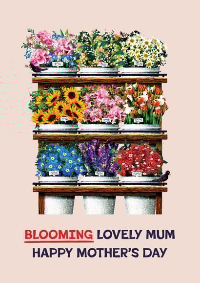 Pretty Mother's Day Card - Flower Stand - Blooming Lovely created by Folio | Ian Owen