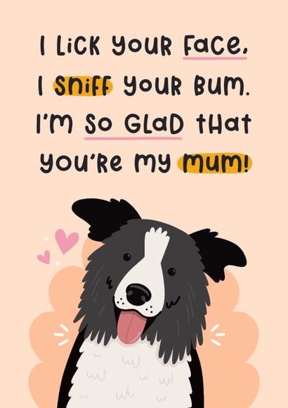 Cute Mother's Day Card - From The Dog - Border Collie created by Joanne Hawker