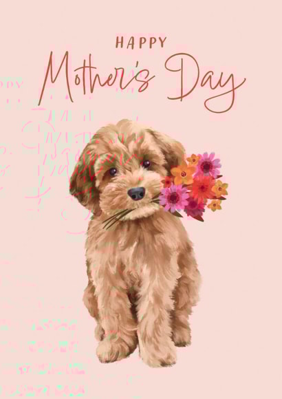 Cute Mother's Day Card - Cockapoo created by Debbie Daley Illustrations