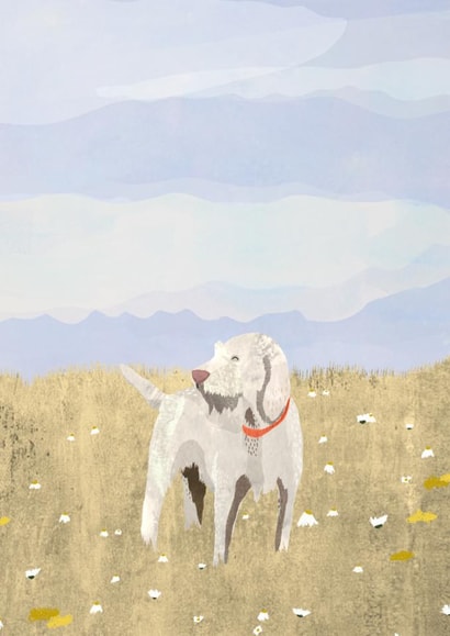 Cute Just Because Card - Italian Spinone created by Madeleine Groves