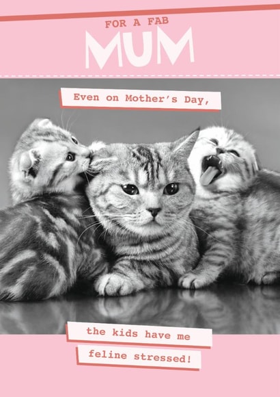 Funny Mother's Day Card - Feline Stressed created by Quitting Hollywood
