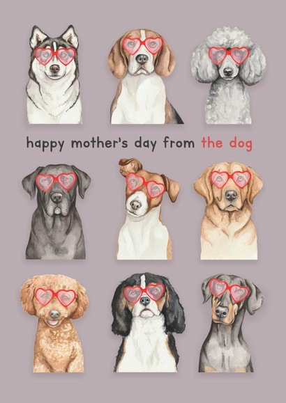 Cute Mother's Day Card - Dogs In Sunglasses created by lil wabbit