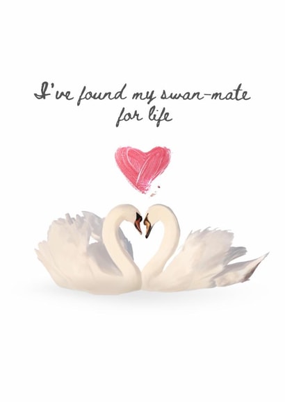 Cute swan love card for your partner created by Shadan Designs
