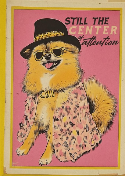 Still the Centre of Attention – Sassy Retro Pom Chihuahua Greeting Card created by Sophie Barrott