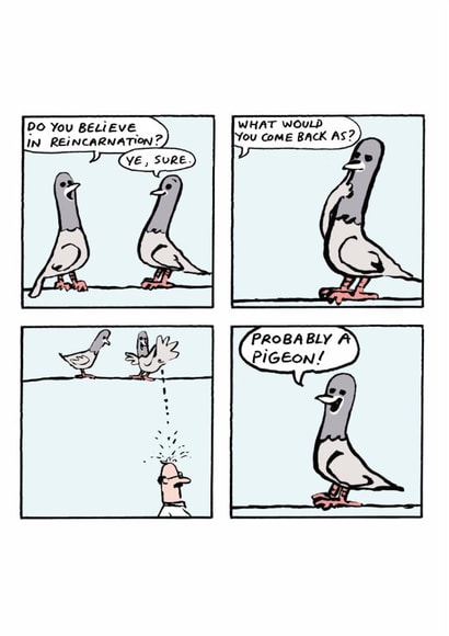 Funny Cartoon Comic Card - Pigeon Reincarnation created by Cardinky