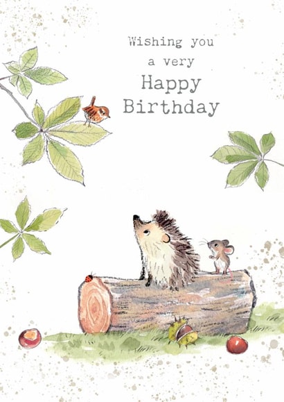 Cute Birthday Card - Hedgehog on log with Mouse created by Paper Shed Design