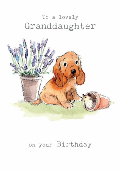 Cute Birthday Card - For Granddaughter - Cute Puppy with Hedgehog created by Paper Shed Design