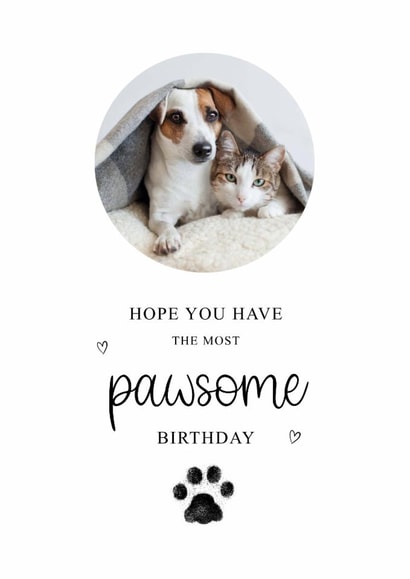 Classic Birthday Card - The Most Pawsome Birthday created by Kalm Lettering