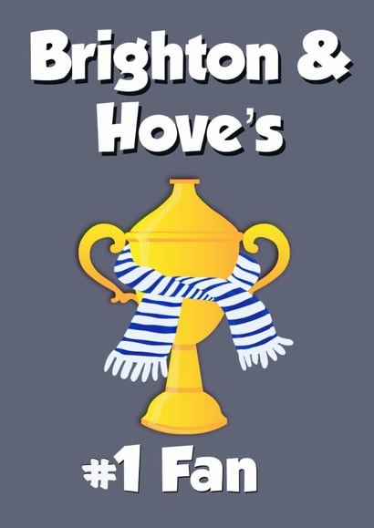 Brighton Football Father’s Day/Birthday Card - Brighton & Hove's Biggest Fan created by Kerrylovescards