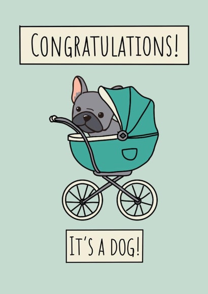 Cute Congratulations Card - New Dog - French Bulldog created by Natalie Tuck