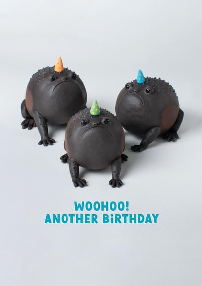 Funny Birthday Card – Grumpy Frog - Woohoo Another Birthday created by Redback Cards