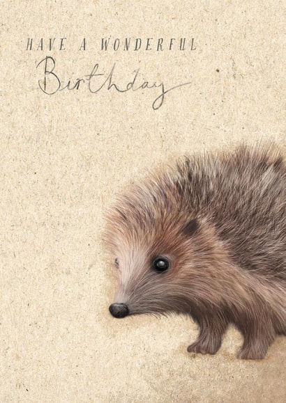 Cute Birthday Card - Hedgehog - Illustration created by Great British Card Company