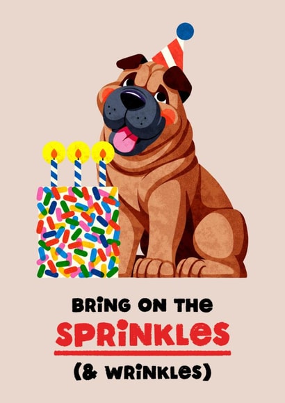 Cheeky Birthday Card - Bring On The Sprinkles - And Wrinkles created by Folio | Ian Owen