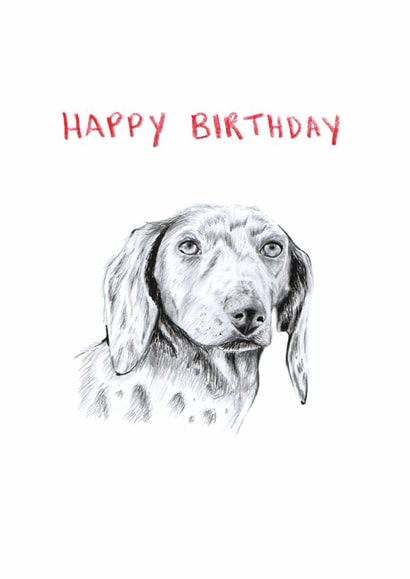 Cute Birthday Card – Speckled Dachshund created by HCD Illustration