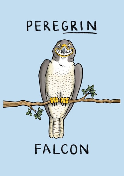 Punny Just Because Card - Peregrin Falcon - Pun created by Carl Batterbee