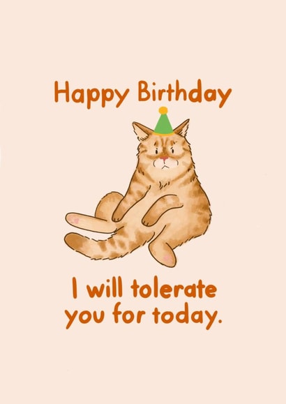 Funny Happy Birthday Card From A Grumpy Cat - Illustrated Party Ginger Cat created by The Clay Stray