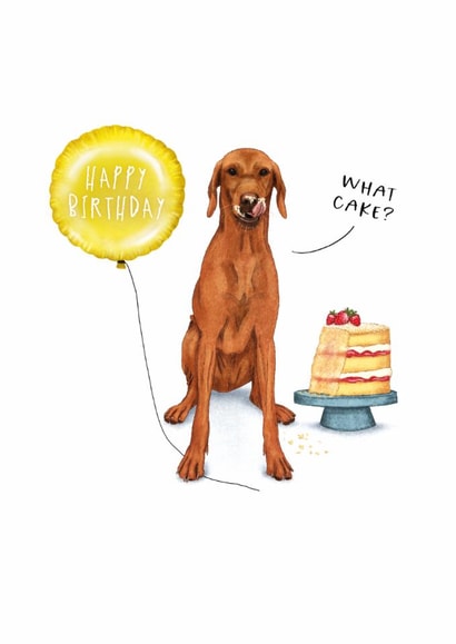 Cute Birthday Card - Dog - What Cake? created by badgerbee design