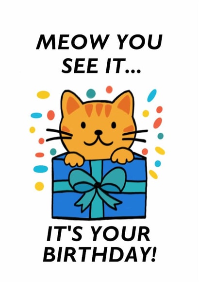 Meow You See It… Birthday Surprise! created by Punnycarddesigns