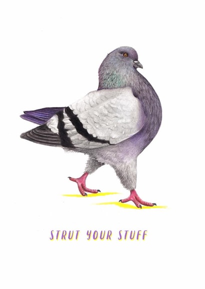 Funny Congratulations/Graduation Card - Pigeon - Strut Your Stuff created by Beth Goodwin