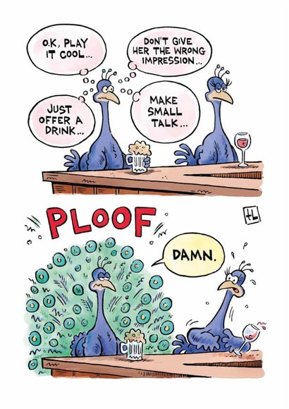 Funny Birthday/Anniversary Card - Peacock - Play It Cool created by Paperlink and Meraki Greeting Cards