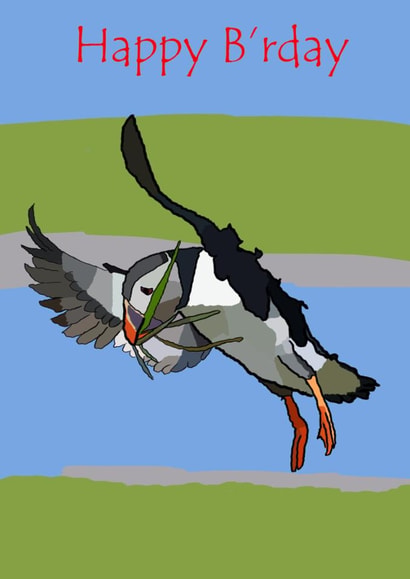 Colourful birthday card for the wildlife lover showing a puffin landing created by CoolArt2021