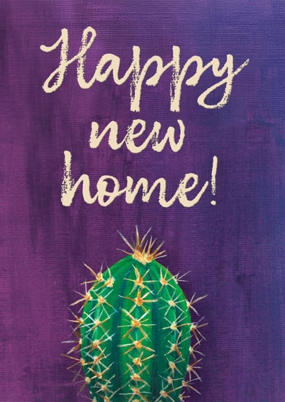 Happy new home for cactus lovers created by Claire Thomson