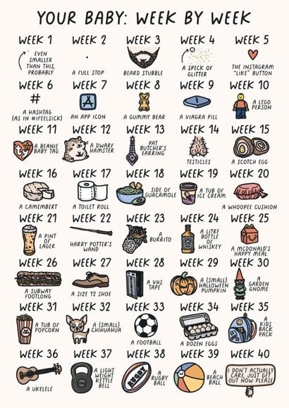 Funny Pregnancy Card - Newly Pregnant - Your Baby: Week by Week created by Sarah Harding