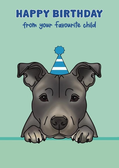 Cute Birthday Card - Staffy - Staffordshire Bull Terrier created by Choo Choo 