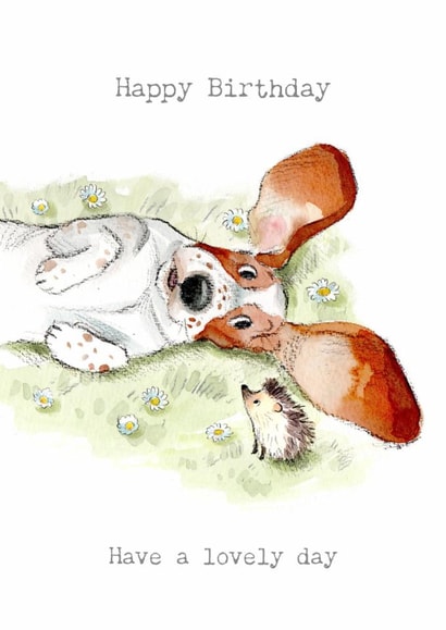 Cute Birthday Card - Basset Hound - Hedgehog created by Paper Shed Design