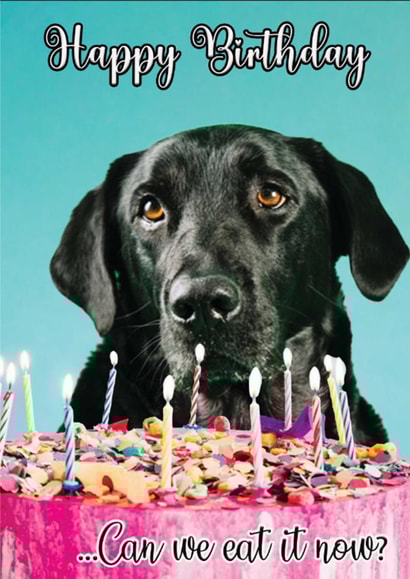 Labrador Eating Cake Card–Funny Dog Birthday Card Mum, Dad, Son, Daughter created by PersonalPolly