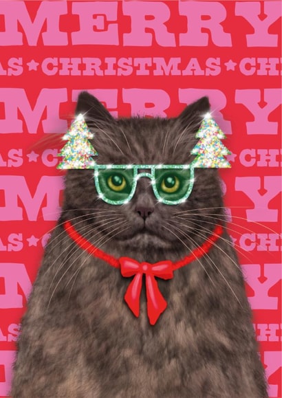 Christmas Card – British Longhair Cat created by badgerbee design