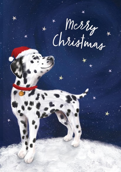 Cute Christmas Card - Dalmatian - Dog created by Debbie Daley Illustrations