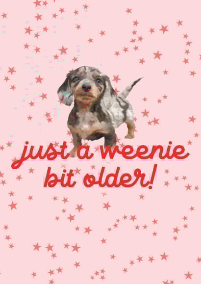 Just A Weenie Bit Older Sausage Dog Card For Dachshund Lovers created by Illustratoni