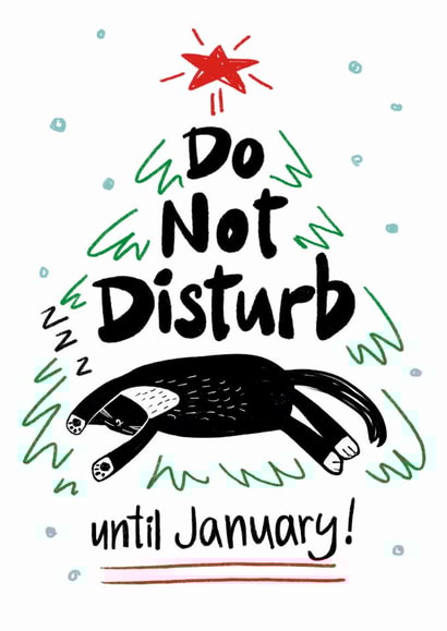 Cute Christmas Card - Do Not Disturb Until January - Cat created by StudiOllie