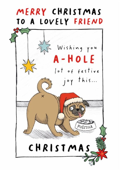 Funny Christmas Card - For A Friend - Wishing You A-Hole Lot Of Festive Joy created by Dandelion Stationery