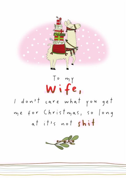 Funny Christmas Card - To My Wife - Shit Present created by Dandelion Stationery