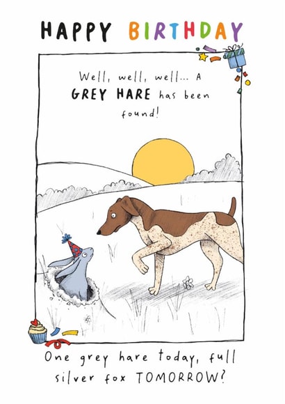 Humorous birthday card for a friend or significant other - grey hair created by Dandelion Stationery