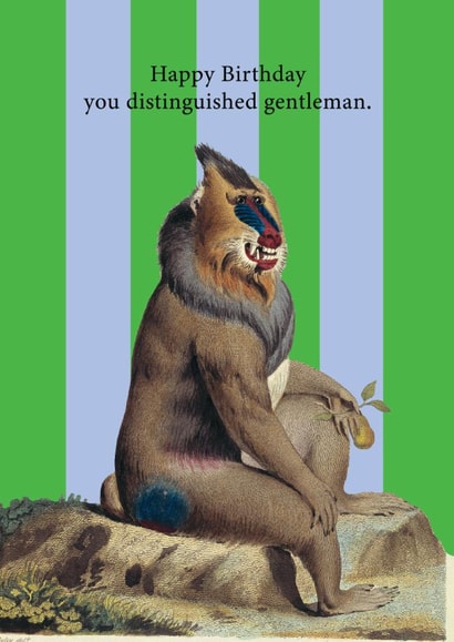 Funny Birthday Card – Distinguished Gentleman created by Ohh Deer