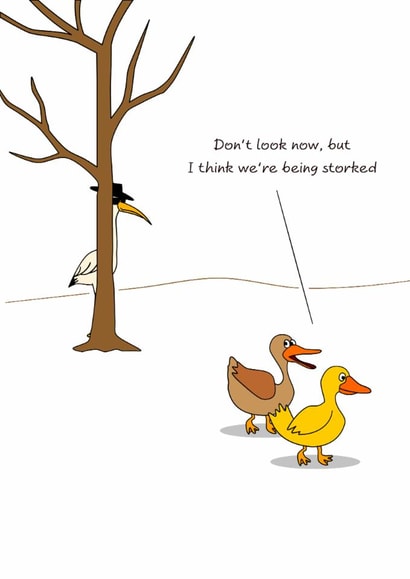 Funny Birthday Card - Ducks - Stork created by Swizzoo