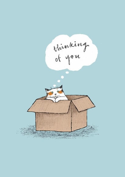 Cute Thinking Of You Card - Cat - Box created by Paper Bird