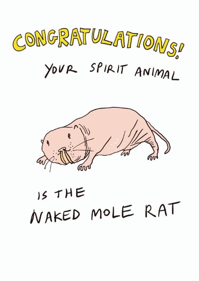 Funny Birthday Card - Naked Mole Rat created by Trashy Mags