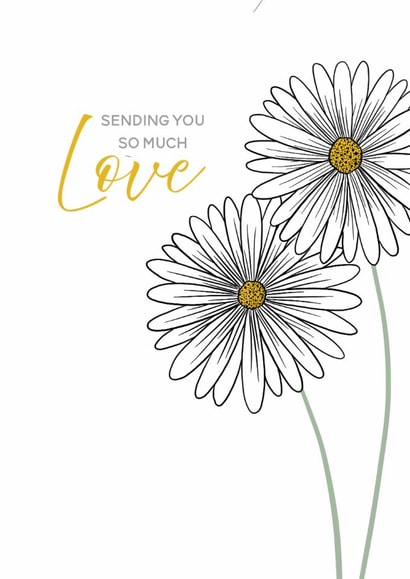 Classic Daisies Thinking of You Card for a Friend created by Lisa Swift Illustration