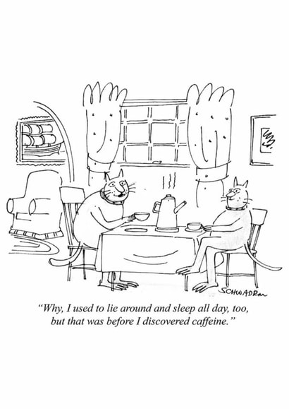 Funny Birthday Card - Before I Discovered Caffeine created by Punch Limited