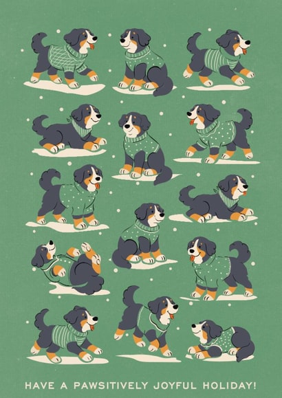 Sweater paws created by Sabrin Deirani