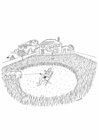 Funny Birthday/Father's Day Card - Easy Lawn Maintenance created by Punch Limited