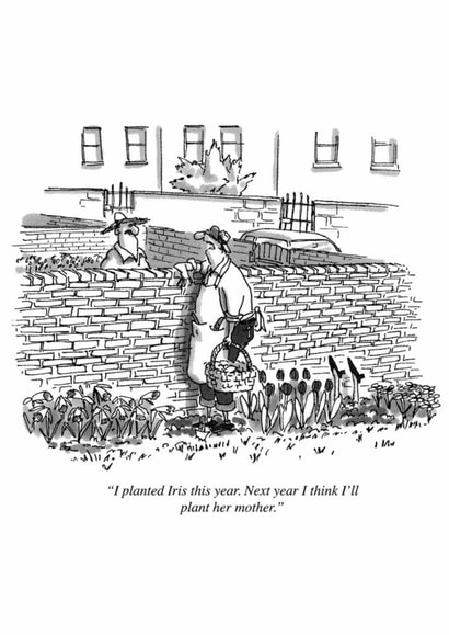 Funny Birthday Card - Gardening created by Punch Limited