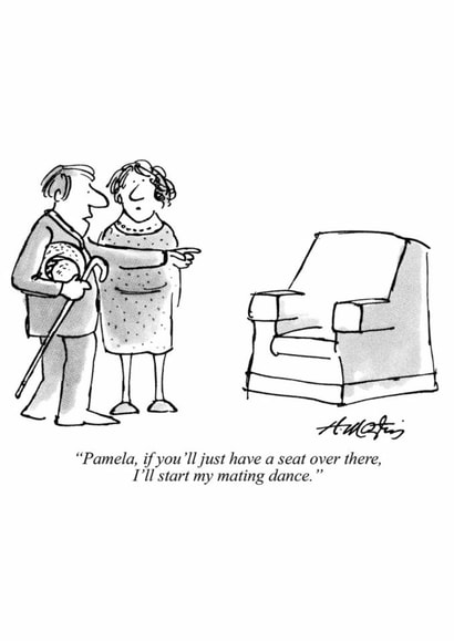 Funny Anniversary/Valentine's Day Card - The Mating Dance created by Punch Limited