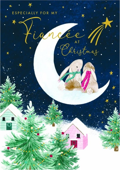 Traditional Christmas Card - For Fiancée - Star Gazing created by Nigel Quiney